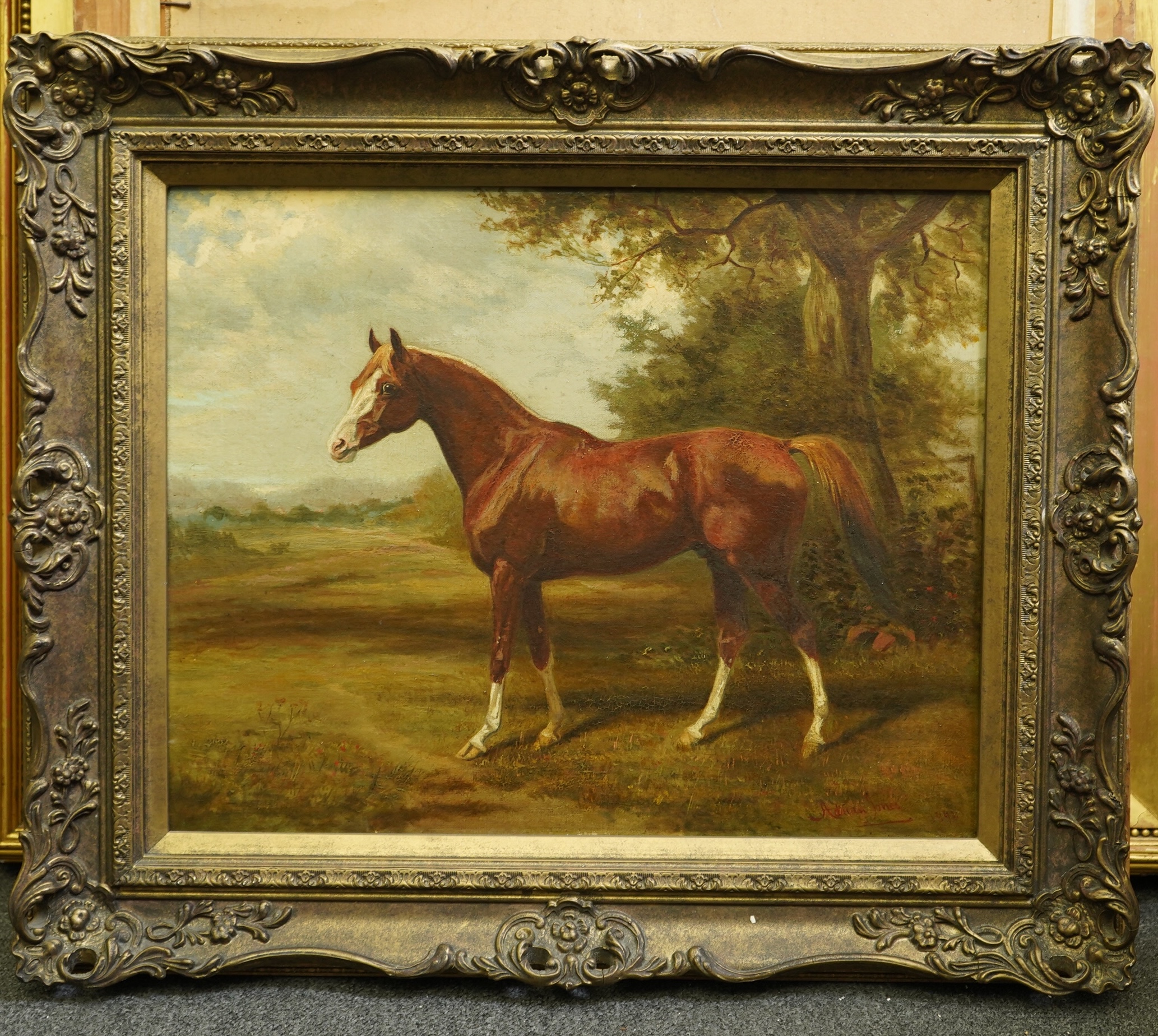Alfred Adrian Jones MVO (British, 1845-1938), oil on canvas, Chestnut hunter in a landscape, signed and dated 1892, 40 x 50cm. Condition - good